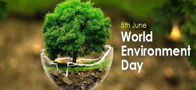 Happy World Environment Day 2020!