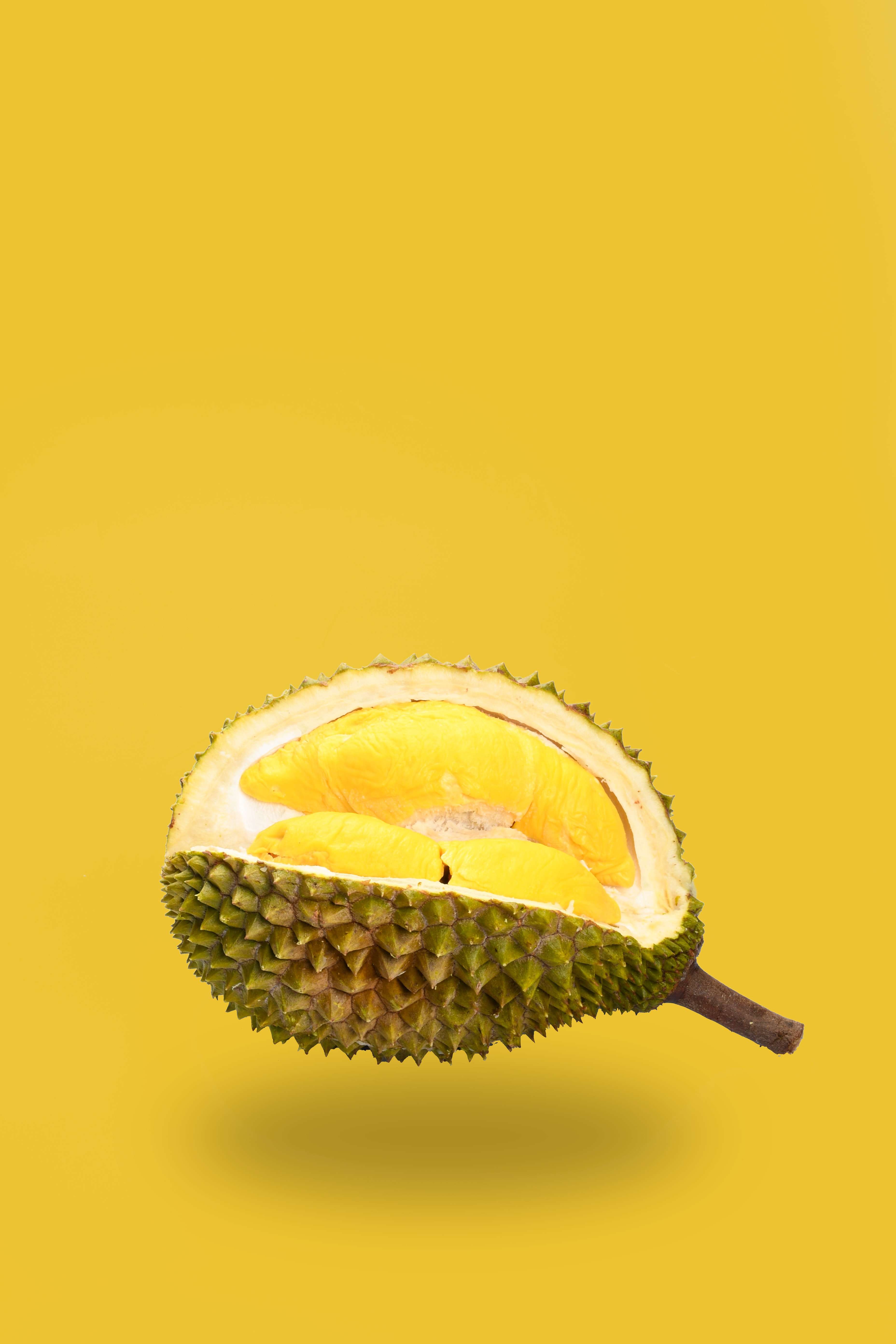 A Quiz for Durian Season