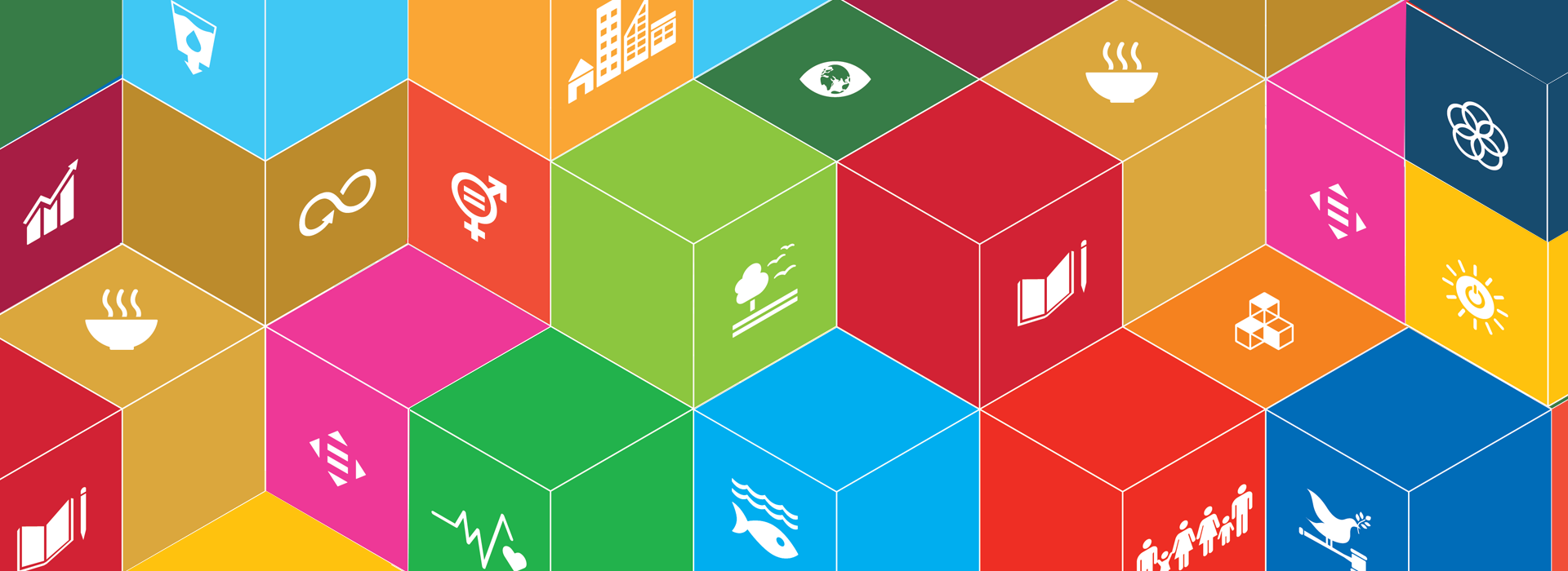 Sustainability 101: United Nations’ Sustainable Development Goals