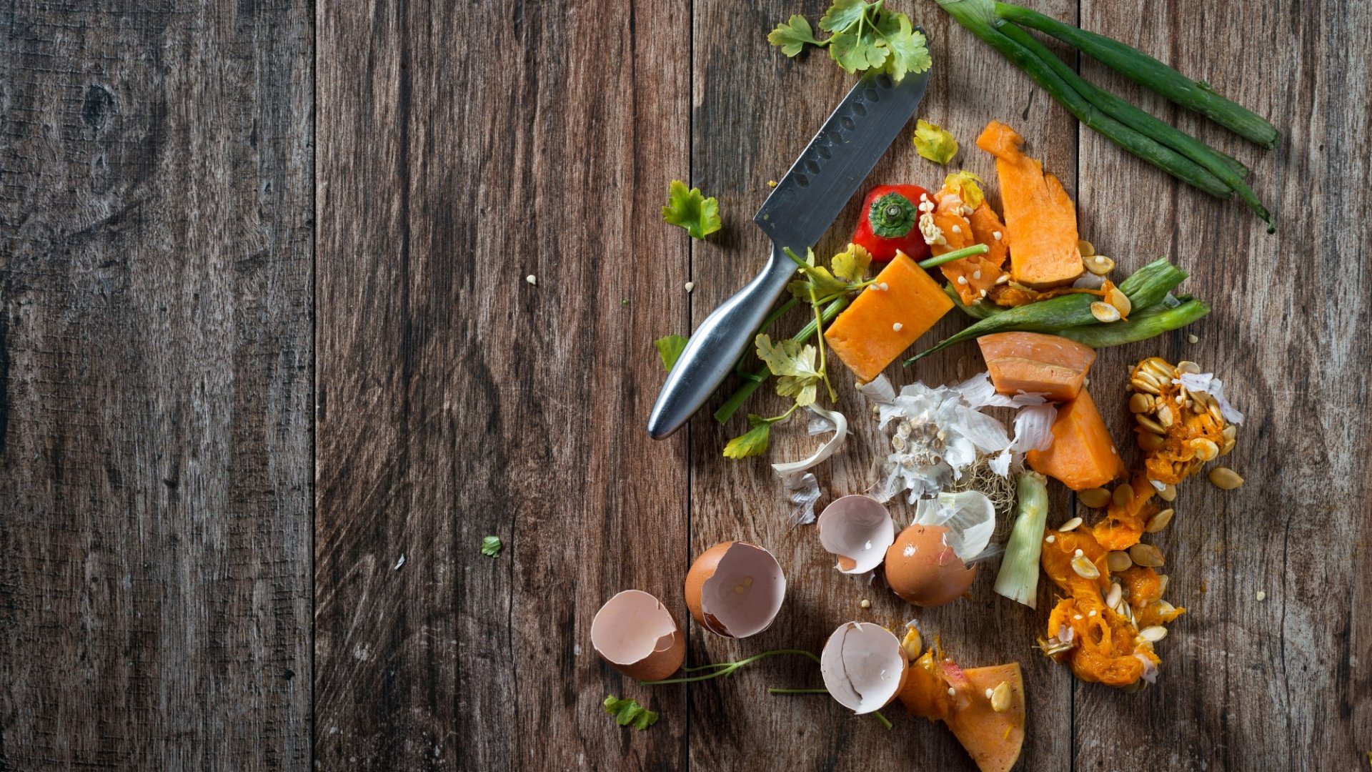 Sustainability 101: Food Waste